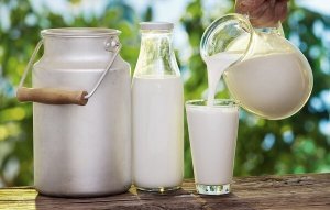 Mẹo Làm Sữa Tươi Thơm Ngon Đúng Cách Không Bị Đông Dễ Dàng Tại Nhà