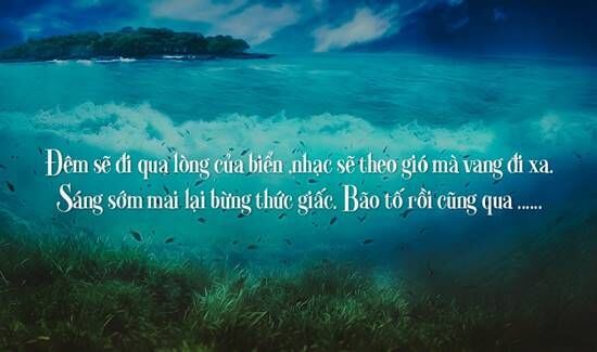 Những câu stt ngắn về biển