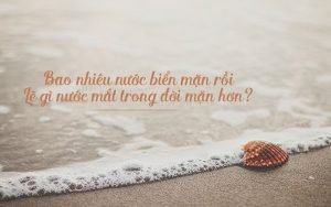 100 STT Hay Về Biển Lãng Mạn Và Ý Nghĩa Dùng Để Thả Thính Siêu Hay