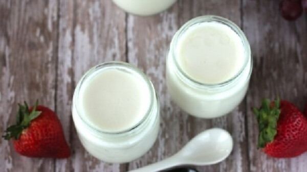 Những lợi ích của sữa chua - cách làm sữa chua từ sữa tươi tiệt trùng
