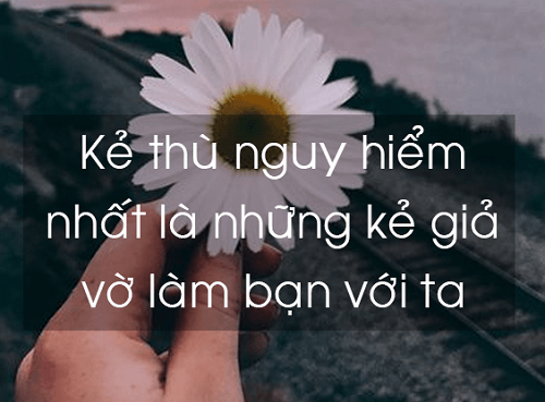Tổng hợp những câu nói hay về xã hội bây giờ mà bạn nên xem