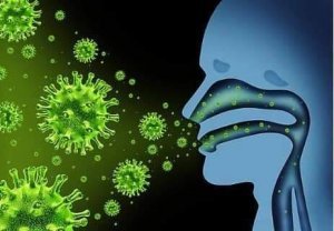 Mẹo hướng dẫn tự kiểm tra virus corona tại nhà dễ dàng