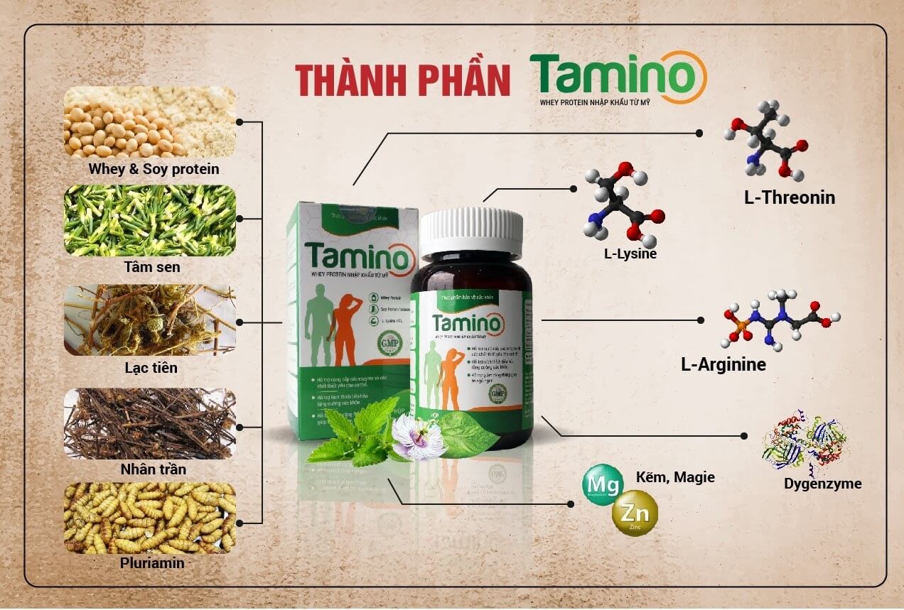 Các thành phần và tác dụng của viên uống tăng cân Tamino