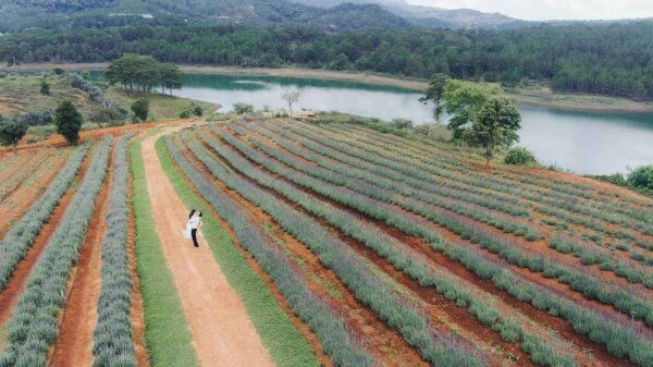 Địa điểm chụp hình cưới ngoại cảnh Đà Lạt - Hồ Tuyền Lâm