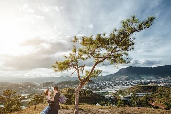 Chụp ảnh cưới ngoại cảnh đẹp cạnh cây thông cô đơn trên đồi Thiên Phúc Đức