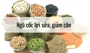 Lợi Ích Cực To Lớn Của Ngũ Cốc Giảm Cân Lợi Sữa Mẹ Bầu Nên Biết
