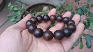 Trầm hương Indo và những điều không phải ai cũng biết
