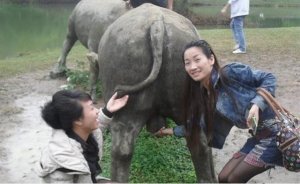 200 Hình Ảnh Ngộ Nghĩnh Buồn Cười, Hài Hước Và Đáng Yêu