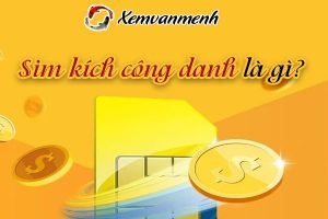 Chọn sim kích công danh cùng chuyên gia về sim phong thủy