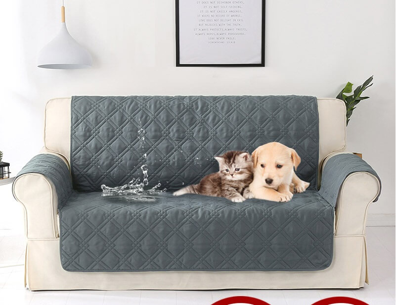 Hướng dẫn cách khử sạch mùi hôi của chó mèo trên ghế sofa