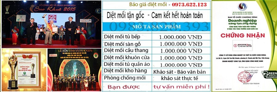 Dịch Vụ Diệt Mối Tại Nhà Hà Nội Uy Tín, Giá Rẻ - Diệt Côn  Trùng Sinh Học