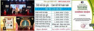 Dịch vụ diệt mối tại nhà Hà Nội uy tín, giá rẻ – Diệt côn  trùng sinh học