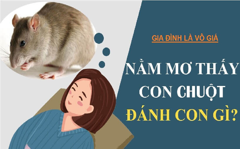 [Giải mã giấc mơ] Nằm mơ thấy chuột đánh con gì