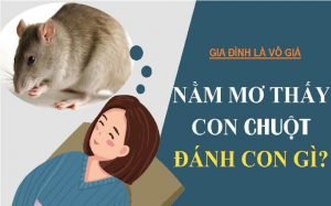 [Giải mã giấc mơ] Nằm mơ thấy chuột đánh con gì?