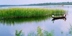 Nằm mơ thấy nước sông đánh con gì? Điềm gì?