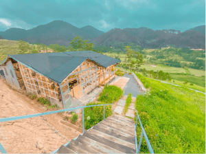 Gửi bạn top 10 homestay Đà Lạt yên bình đáng để nghỉ dưỡng