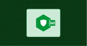 Phòng chống DDoS với Nginx và Nginx Plus – Bizfly Cloud 