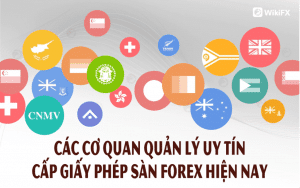 Tiêu chí quan trọng đánh giá sàn Forex uy tín hay lừa đảo từ WikiFX