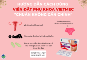 Viên đặt phụ khoa thảo dược VIETMEC có gì mà mọi chị em đều yêu thích?