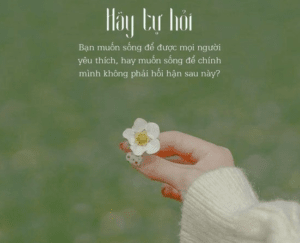80 Câu nói hay nhất về sự lạc quan giúp bạn yêu đời hơn để thay đổi cuộc sống