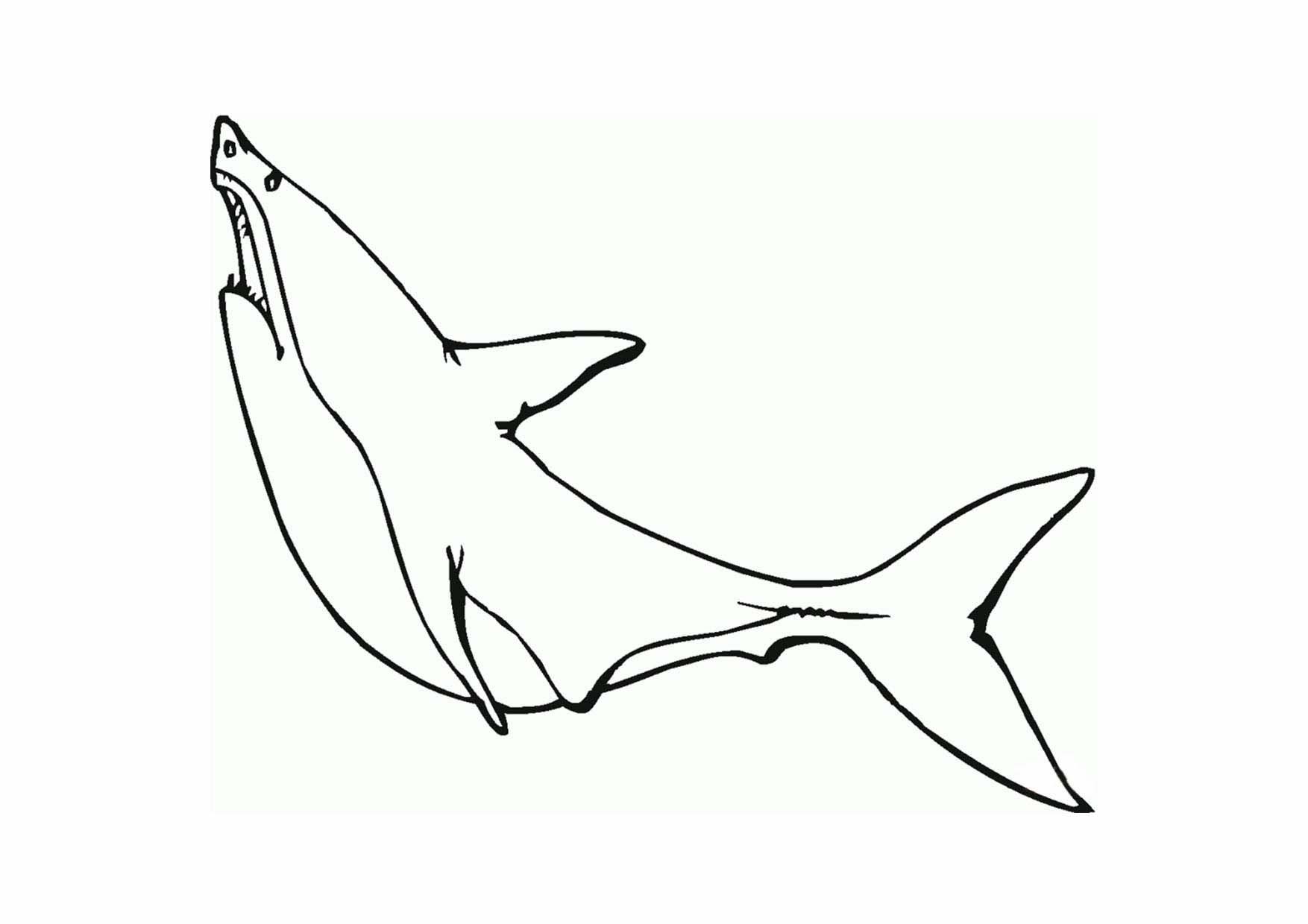 Mẫu tranh tô màu cá mập cho mấy bé nhỏ