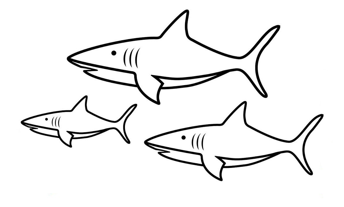 Mẫu tranh tô màu cá mập đáng yêu đơn giản