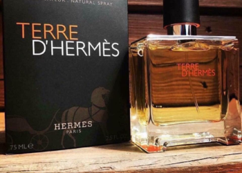 Tại sao nên sở hữu nước hoa Hermes Terre?