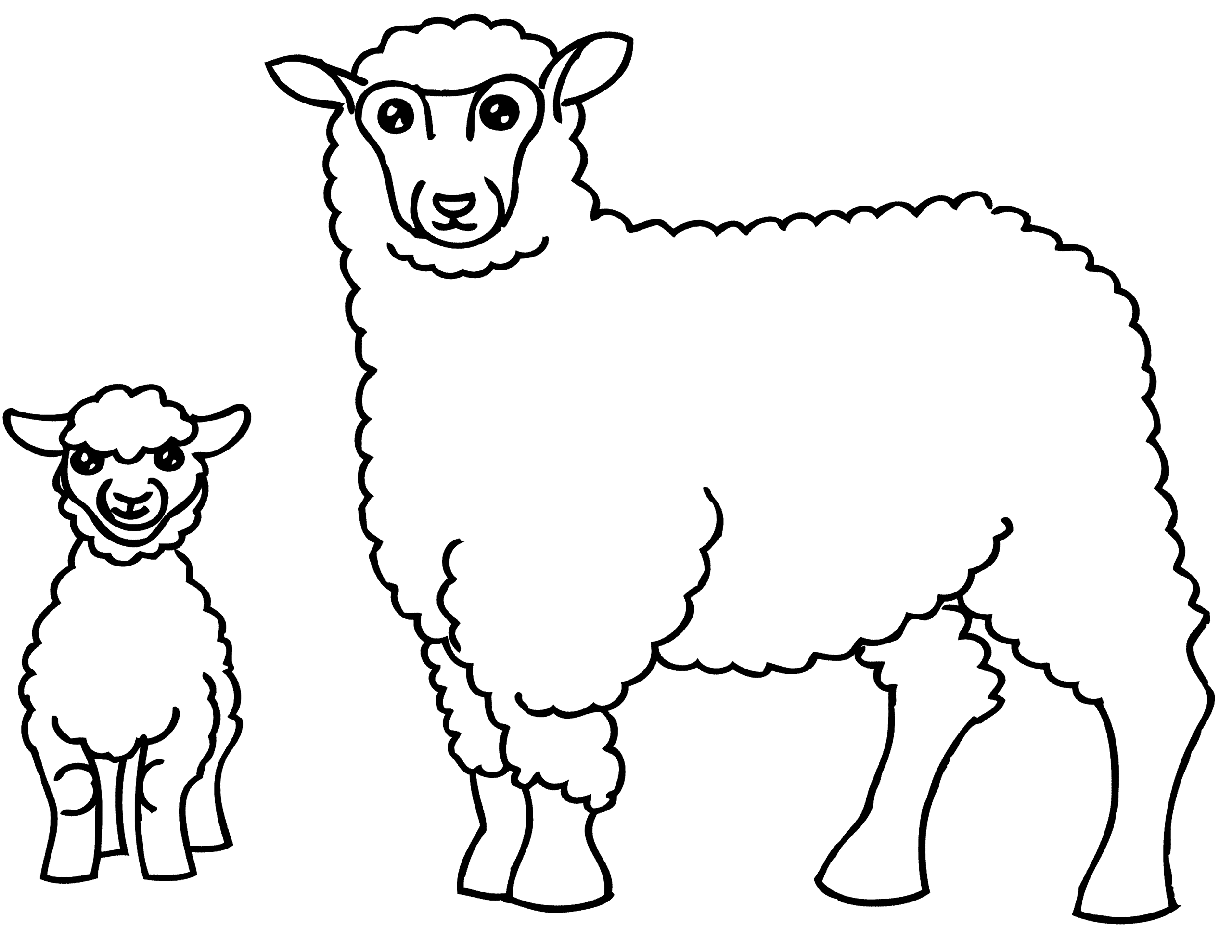 Tranh tô màu con cừu cute
