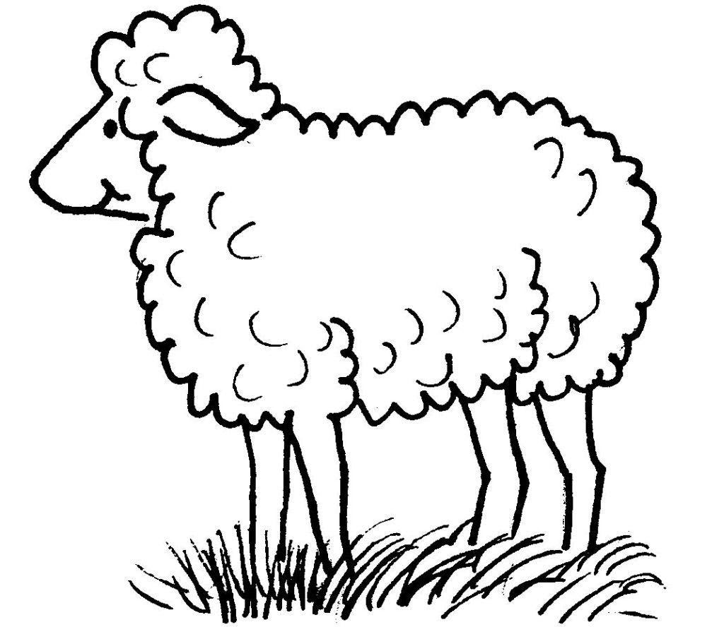 Tranh tô màu con cừu đáng yêu và dễ thương cho mấy bé nhỏ