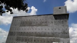 Những điều cần biết nuôi yến trong nhà thành công