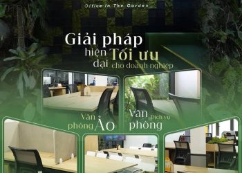 Thuê Văn Phòng Coworking: Giải Pháp Không Gian Làm Việc Hiện Đại Thuê Văn Phòng Coworking 4